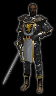paladin.jpeg (22651 bytes)